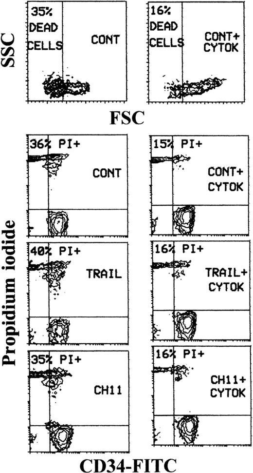 Fig. 1. Evaluation of TRAIL activity on freshly isolated PB CD34+ cells. / The percentage of cell death was evaluated in CD34+ cells treated with irrelevant IgM mAb and rHis6-tag peptide (CONT), TRAIL, or anti-CD95 (CH 11) IgM mAb for 20 hours in medium supplemented with (CYTOK, right panels) or without SCF + IL-3 (left panels). CD34+ cell death was detected by either FSC/SSC (upper 2 panels) or PI staining (lower 6 panels) analyses. Percentages of dead cells are indicated in each panel. Representative FSC/SSC analyses are shown only for control (CONT) cultures, since similar profiles were observed in TRAIL- and anti-CD95-treated cells (not shown). In the lower 6 panels, quadrants were set based on negative controls stained with isotype-matched irrelevant mAb (not shown). X-axis: relative CD34 expression; Y-axis: propidium iodide staining.