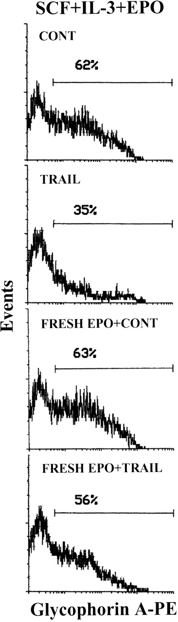 Fig. 4. EPO prevention of the TRAIL-mediated depletion of glycophorin Ainterm erythroblasts. / The expression of glycophorin A was evaluated on viable cells electronically gated on the basis of FSC/SSC pattern (see caption of Figure 1) at day 10 of culture with the indicated cytokines. Cultures were supplemented (bottom 2 panels) or not with fresh EPO for 12 hours and then with TRAIL or rHis6-tag peptide (CONT) for the last 20 hours of culture before glycophorin A staining. X-axis: glycophorin A relative expression. Y-axis: relative cell number. Percentages of glycophorin A+ cells are indicated.
