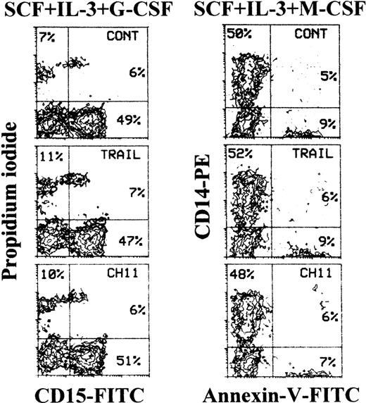 Fig. 5. Lack of toxicity of TRAIL on unilineage committed myelomonocytic precursors at intermediate stages of differentiation. / Ten-day unilineage granulocytic (SCF + IL-3 + G-CSF) and monocytic (SCF + IL-3 + M-CSF) cultures were incubated with irrelevant IgM mAb and rHis6-tag peptide (CONT), TRAIL, or anti-CD95 (CH 11) IgM mAb for 20 hours. Apoptotic granulocytic cells were detected by staining with propidium iodide combined to CD15, whereas apoptotic monocytic cells were detected by annexin V staining combined to CD14. Percentages of cells in the respective quadrants are indicated. Quadrants were set based on negative controls treated with isotype-matched irrelevant mAbs (not shown).