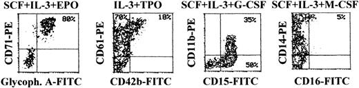 Fig. 6. Surface phenotype of unilineage hematopoietic cells at day 14 of culture. / At day 14, cells obtained in unilineage cultures with the indicated cytokines were phenotypically characterized by double staining with anti-CD71 + anti-glycophorin A (erythroid antigens), anti-CD61 + anti-CD42b (megakaryocytic antigens), anti-CD15 + anti-CD11b (granulocytic antigens), or anti-CD16 + anti-CD14 (monocytic antigens). Percentages of cells in the respective quadrants are indicated. CD14+ cells were 65%. Quadrants were set based on negative controls treated with isotype-matched irrelevant mAbs (not shown).