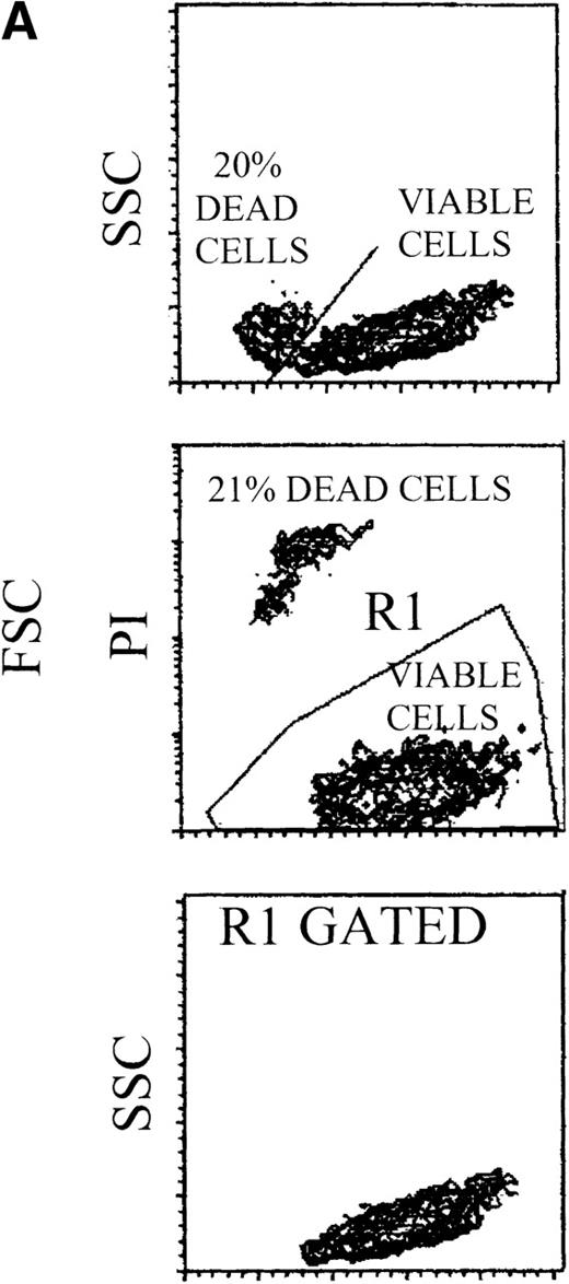 Fig. 7. Loss of sensitivity to TRAIL of erythroid cells at late stages of differentiation. / (A) 14-day viable erythroid cells were detected by either FSC/SSC or PI staining analyses. Representative FSC/SSC (left and right panels) and PI (central panel) staining analyses are shown only for control cultures, since similar profiles were obtained in TRAIL- and anti-CD95-treated cells. The same cluster of dead cells was clearly detectable by both FSC/SSC and PI staining analyses. Viable cells, gated in R1 (region 1), were examined for glycophorin A expression, as shown in (B). (B) Cultures were supplemented with irrelevant IgM mAb and rHis6-tag peptide (CONT), TRAIL, or anti-CD95 (CH 11) IgM mAb for the last 20 hours before glycophorin A staining. X-axis: glycophorin A relative expression. Y-axis: relative cell number. Percentages of glycophorin A+ cells are indicated.