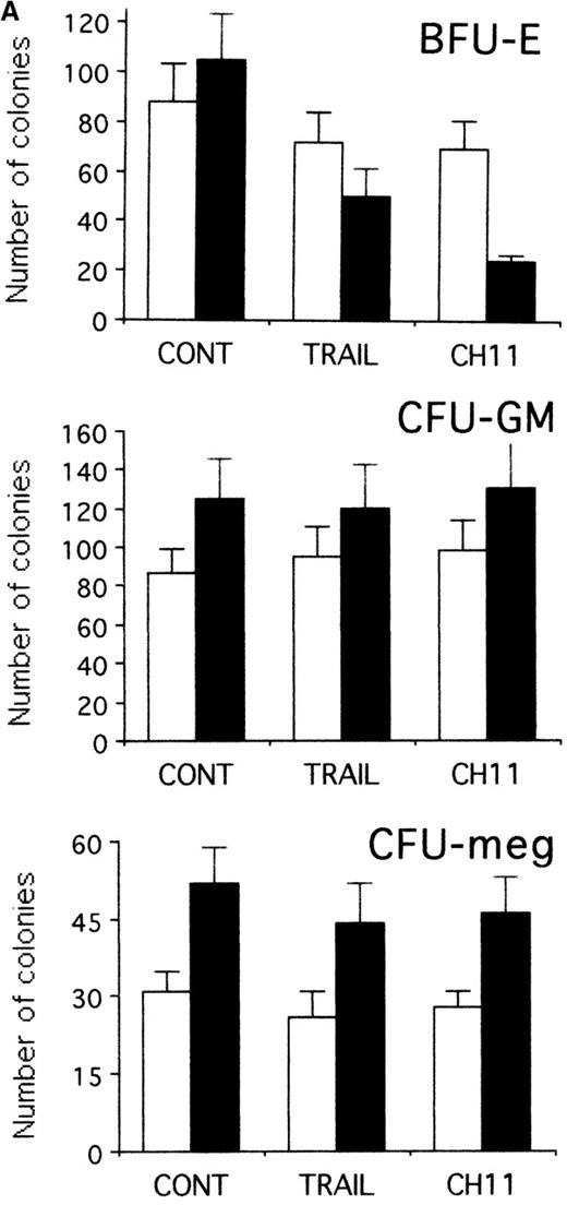 Fig. 8. TRAIL-induced inhibition on pre-stimulated clonogenic erythroid progenitors (BFU-E) in semisolid cultures. / (A) Erythroid (BFU-E), megakaryocytic (CFU-meg), and granulocytic-macrophagic (CFU-GM) colonies were scored after 14 days of semisolid cultures. CD34+ cells were either seeded in semisolid cultures immediately after purification (white columns) or pre-stimulated in liquid cultures with specific cytokine cocktails for 2 days (black columns). Before seeding, cells were treated for 20 hours with irrelevant IgM mAb and rHis6-tag peptide (CONT), TRAIL, or anti-CD95 (CH 11) IgM mAb. Data are expressed as means ± SD of 4 separate experiments performed in duplicate. (B) Representative BFU-E are shown to document the difference in terms of colony size between TRAIL, CH11, and control cultures. Original magnification (400×).
