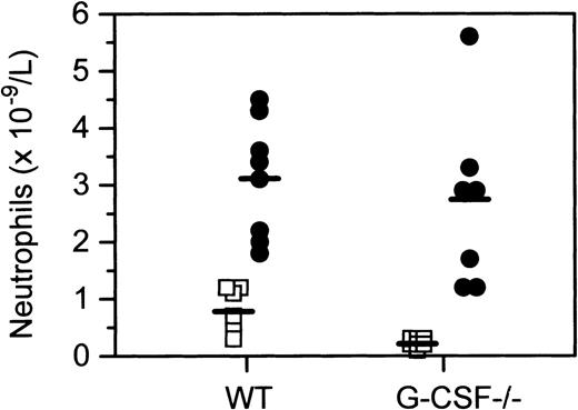 Fig. 1. Peripheral blood neutrophil counts in wild type and G-CSF–deficient mice treated with C albicans. / Peripheral blood neutrophil levels in wild-type, G-CSF–deficient mice at baseline (□) and 7 days after candida infection (•), sampled identically.