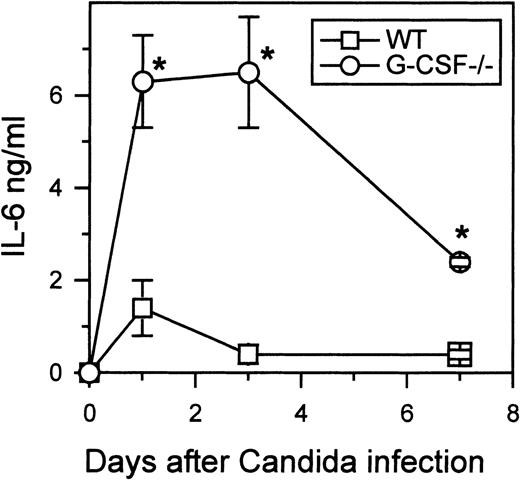 Fig. 3. Kinetics of IL-6 production. / Wild-type and G-CSF–deficient mice were challenged with 2.5 × 105 C albicans intravenously. At the indicated times, 6 mice of each genotype were killed. Serum samples from each mouse were tested for IL-6 as described in “Materials and methods.” Data are represented as mean ± SD. One of 2 separate experiments with similar results is shown.