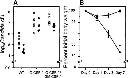 Fig. 9. Experimental C albicans infection of wild-type and G-CSF–deficient mice. / (A) Candida load per kidney (expressed as logarithm of the yeast count) in wild type (□) and G-CSF–deficient mice (•), 3 and 7 days after experimental infection with C albicans. (B) Body weight as a percent of pretreatment values after candida challenge. C albicans (2.5 × 105 CFUs ) was injected through lateral tail vein of wild-type (▪) and G-CSF–deficient mice (•). Body weights were recorded before and at the time points shown after challenge. Ten mice of each type were studied. Data are represented as mean ± SEM. *P < .05 for comparison of G-CSF–deficient and wild-type mice.