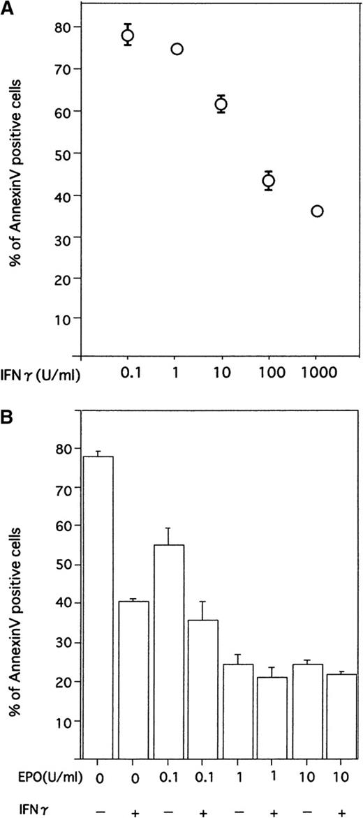 Fig. 3. Effect of IFN-γ on ECFCs with various concentrations of rhIFN-γ and rhEPO. / (A) Dose-dependent effects of IFN-γ on reducing apoptosis of day 7 ECFCs. Cells were incubated for 16 hours with the indicated concentrations of rhIFN-γ, without rhEPO. (B) Cells were incubated with the indicated concentrations of rhEPO or rhIFN-γ (1000 U/mL), or both. Each point shows the mean ± SD of triplicates. Apoptosis was evaluated by flow cytometry after staining cells with annexin V and PI.