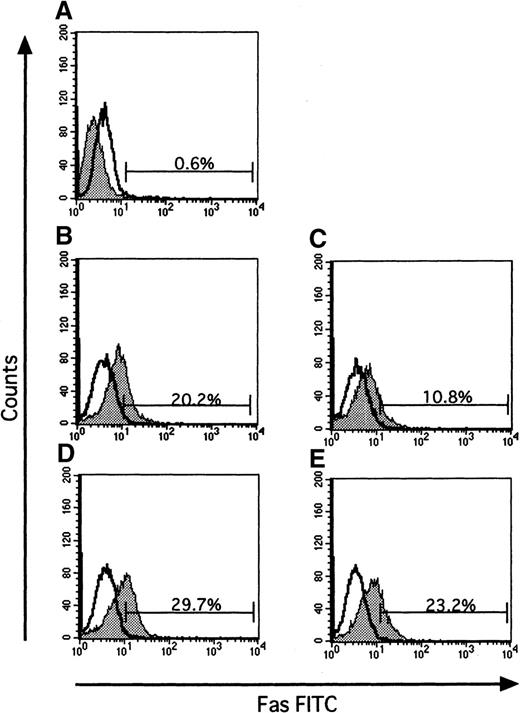 Fig. 5. Effect of IFN-γ on expression of Fas. / Data show typical results of 3 independent experiments. Panel (A) shows the baseline expression of Fas on day 7 ECFCs, prior to serum-free liquid culture. Cells were incubated with or without rhEPO (10 U/mL) or rhIFN-γ (1000 U/mL), or both, for 16 hours. Cells were then incubated on ice with FITC-Fas or FITC-murine IgG1 as control for 30 minutes, and then flow cytometric analysis was performed. The open histogram indicates murine IgG1 as control, and the gray histogram indicates Fas. Each panel shows data on cells incubated without rhEPO and rhIFN-γ (B), with rhEPO alone (C), with rhIFN-γ alone (D), and together with rhEPO plus rhIFN-γ (E).