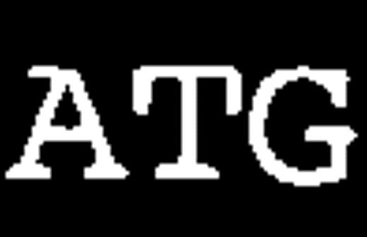 Fig. 4. Generation of probes for expression analysis of 2 different cellular transcripts. / The selected cellular DNA sequences flanking retroviral integrations were compared with gene sequences in the GenBank database. The sequence “50” is similar to the human putative RNA-binding protein RNPL (U28686). The sequence “134” overlaps with the 5′ end EST sequence T35609 similar to human alpha NAC mRNA (X80909). Respective fragments were used as probes in subsequent Northern blot analyses. ⇌ Oligonucleotides used to amplify fragments from TF-1 total RNA ▭ 5′RACE sequence; >>>>> EST sequence continue; ---- Mismatches between alignment, SA: Splice acceptor, open reading frame for the production of the related proteins.