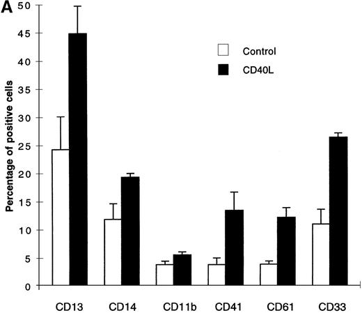 Fig. 2. Cells expanded in the presence of CD40L. / (A) Cells expanded in the presence of CD40L essentially belong to the myeloid and megakaryocytic lineages. Human CD34+progenitors were cultured 12 days in contact cocultures with ECs with 10% supernatant of nontransfected COS cells (control) or with 10% supernatant of CD40L-CD8α–transfected COS cells (CD40L). Results are expressed as the mean ± SD, of 4 experiments. (B, C) Megakaryocyte progenitors in the CD40L coculture system. Human CD34+progenitors were cultured 12 days in contact cocultures with HUVECs with 10% supernatant of nontransfected COS cells (control) or with 10% supernatant of CD40L-CD8α–transfected COS cells (CD40L) and assayed for colony-forming cells and colony-forming unit–megakaryocytes on a collagen-based system, followed by colony staining with an anti-GP IIb mAb (EDU-3) as described in “Materials and methods”. Center panel (B), noncontact cocultures; bottom panel (C), contact cocultures. Results are expressed as the mean ± SD colony number (for 105 cells), for 3 experiments.