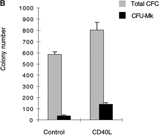 Fig. 2. Cells expanded in the presence of CD40L. / (A) Cells expanded in the presence of CD40L essentially belong to the myeloid and megakaryocytic lineages. Human CD34+progenitors were cultured 12 days in contact cocultures with ECs with 10% supernatant of nontransfected COS cells (control) or with 10% supernatant of CD40L-CD8α–transfected COS cells (CD40L). Results are expressed as the mean ± SD, of 4 experiments. (B, C) Megakaryocyte progenitors in the CD40L coculture system. Human CD34+progenitors were cultured 12 days in contact cocultures with HUVECs with 10% supernatant of nontransfected COS cells (control) or with 10% supernatant of CD40L-CD8α–transfected COS cells (CD40L) and assayed for colony-forming cells and colony-forming unit–megakaryocytes on a collagen-based system, followed by colony staining with an anti-GP IIb mAb (EDU-3) as described in “Materials and methods”. Center panel (B), noncontact cocultures; bottom panel (C), contact cocultures. Results are expressed as the mean ± SD colony number (for 105 cells), for 3 experiments.