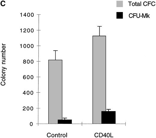 Fig. 2. Cells expanded in the presence of CD40L. / (A) Cells expanded in the presence of CD40L essentially belong to the myeloid and megakaryocytic lineages. Human CD34+progenitors were cultured 12 days in contact cocultures with ECs with 10% supernatant of nontransfected COS cells (control) or with 10% supernatant of CD40L-CD8α–transfected COS cells (CD40L). Results are expressed as the mean ± SD, of 4 experiments. (B, C) Megakaryocyte progenitors in the CD40L coculture system. Human CD34+progenitors were cultured 12 days in contact cocultures with HUVECs with 10% supernatant of nontransfected COS cells (control) or with 10% supernatant of CD40L-CD8α–transfected COS cells (CD40L) and assayed for colony-forming cells and colony-forming unit–megakaryocytes on a collagen-based system, followed by colony staining with an anti-GP IIb mAb (EDU-3) as described in “Materials and methods”. Center panel (B), noncontact cocultures; bottom panel (C), contact cocultures. Results are expressed as the mean ± SD colony number (for 105 cells), for 3 experiments.