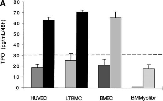 Fig. 5. CD40L stimulates the production of TPO by stromal cells. / (A) ELISA on 48-hour-old conditioned medium in ECs, BMEC line LTBMCs, bone marrow-derived myofibroblasts cultured in the presence of 10% supernatant of nontransfected COS cell (left histogram), or with 10% supernatant of CD40L-CD8α–transfected COS cells (right histogram). No TPO was detected in untransfected or transfected COS cell supernatants. Results are expressed as the mean ± SD for 3 experiments. (B) Western blotting showing TPO protein in HUVEC- and LTBMC-culture medium and increased production by CD40L. 1, recombinant TPO protein, 2 and 4, LTBMCs and HUVECs, respectively, cultured in the presence of 10% supernatant of nontransfected COS cells; 3 and 5, LTBMCs and HUVECs respectively, cultured with 10% supernatant of CD40L-CD8α– transfected COS cells. TPO was found migrating at an Mr of 58 to 68 kd. An additional species migrating at an Mr of approximately 90 kd (visible in track 1) can be seen on overloading and/or overexposure. We do not know the nature of this high-molecular weight species. Dotted line indicates the level of the lowest TPO standard (31.2 pg/mL).