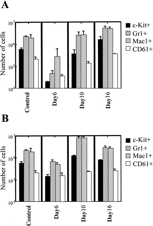 Fig. 4. Pretreatment with KF41399 suppressed the decrease and accelerated the recovery of each lineage of MNC. / (A) Time course of the phenotype of MNC derived from ACNU-treated mice. Mice were administered 45 mg/kg ACNU IV for 2 consecutive days, on day 3 and day 4 (protocol I, Table 1). Control animals were administered distilled water (protocol A, Table 1). MNC was prepared on indicated days, and the phenotype of MNC was analyzed by FACScan as described in “Materials and methods.” (B) Time course of the phenotype of MNC derived from the KF41399 pretreated mice. Mice were treated with 25 mg/kg KF41399 orally twice daily for 10 days, from day 0 to day 9, followed by the IV administration of 45 mg/kg ACNU for 2 consecutive days, on day 3 and day 4 (protocol H, Table 1). Results are expressed as the mean ± SD. n = 5 in each group.