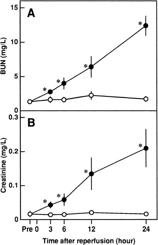 Fig. 1. Changes in serum levels of blood urea nitrogen (BUN) and creatinine in rats after renal ischemia and reperfusion (I/R). / Rats were subjected to uninephrectomy and 60 minutes of renal ischemia followed by reperfusion. Serum levels of BUN (A) and creatinine (B) were measured before ischemia (Pre), and 3, 6, 12, and 24 hours after reperfusion. Rats in the sham-operation group had uninephrectomy but not I/R. Data are expressed as mean ± SD values. Open circles indicate rats in the sham-operation group (n = 5); and closed circles, rats that had I/R (n = 5). *P < .01 compared with the sham-operation group.