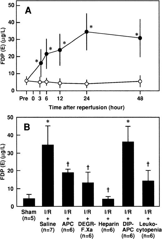 Fig. 4. Changes in serum levels of FDP(E) in rats that had renal I/R, and effects of APC, DEGR-FXa, heparin, DIP-APC, and leukocytopenia on I/R-induced increases in serum levels of FDP(E) 24 hours after reperfusion. / (A) Rats were subjected to uninephrectomy and 60 minutes of renal ischemia followed by reperfusion. Serum levels of FDP(E) were measured before ischemia (Pre), and 3, 6, 12, 24, and 48 hours after reperfusion. Rats in the sham-operation group had uninephrectomy only. Data are expressed as mean ± SD values. Open circles indicate rats in the sham-operation group (n = 5); and closed circles, rats that had I/R (n = 5). *P < .01 compared with the sham-operation group. (B) Rats were given intravenously administered saline, APC (100 μg/kg), DEGR-FXa (1 mg/kg), heparin (300 U/kg), or DIP-APC (100 μg/kg) 30 minutes before reperfusion. Leukocytopenia was induced by administration of nitrogen mustard. Data are expressed as mean ± SD values. Values in parentheses indicate the number of animals in each experiment. *P < .01 compared with the sham-operation group; †P < .01 compared with the I/R plus saline group.