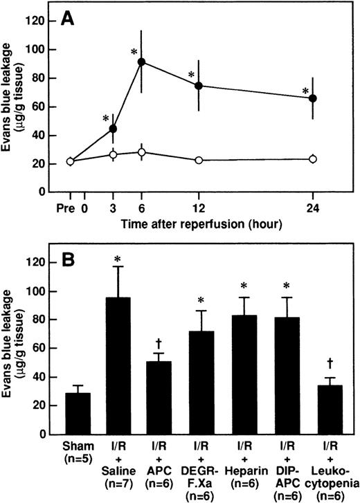 Fig. 6. Changes in renal vascular permeability in rats after renal I/R, and effects of APC, DEGR-FXa, heparin, DIP-APC, and leukocytopenia on the I/R-induced increase in vascular permeability observed 6 hours after reperfusion. / (A) Rats were subjected to uninephrectomy and 60 minutes of renal ischemia followed by reperfusion. Renal vascular permeability was evaluated by assessing leakage of Evans blue dye administered intravenously 10 minutes before the rats were killed. Vascular permeability was measured before ischemia (Pre) and 3, 6, 12, and 24 hours after reperfusion. Data are expressed as mean ± SD values. Open circles indicate rats in the sham-operation group (n = 5), and closed circles, rats that had I/R (n = 5). *P < .01 compared with the sham-operation group. (B) Rats were given intravenously administered saline, APC (100 μg/kg), DEGR-FXa (1 mg/kg), heparin (300 U/kg), or DIP-APC (100 μg/kg) 30 minutes before reperfusion. Leukocytopenia was induced by administration of nitrogen mustard. Data are expressed as mean ± SD values. Values in parentheses indicate the number of animals in each experiment. *P < .01 compared with the sham-operation group; †P < .01 compared with the I/R plus saline group.