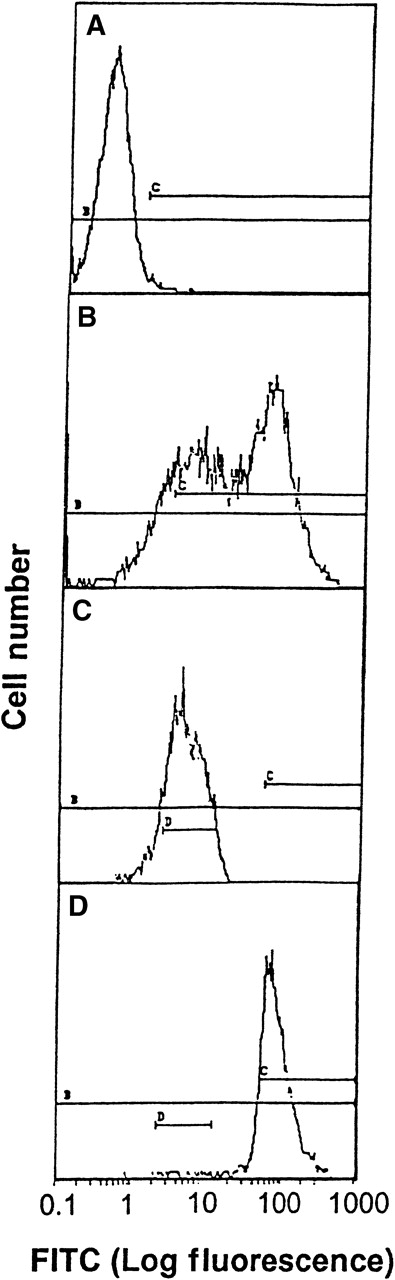 Fig. 1. Transfection of HEK 293 with Mac-1. / Flow cytometry analysis and FACSorting of HEK 293 cells transfected with Mac-1 (A to D). (A) Immunofluorescence assay using mAb LM2/1 with control transfected HEK 293 cells as a control. (B) Immunofluorescence assay using mAb LM2/1 with Mac-1 transfected HEK 293 cells. (C) Low level of expression of Mac-1, after FACSorting of Mac-1 transfected HEK cells. (D) High level of expression of Mac-1, after FACSorting of Mac-1 transfected HEK cells.