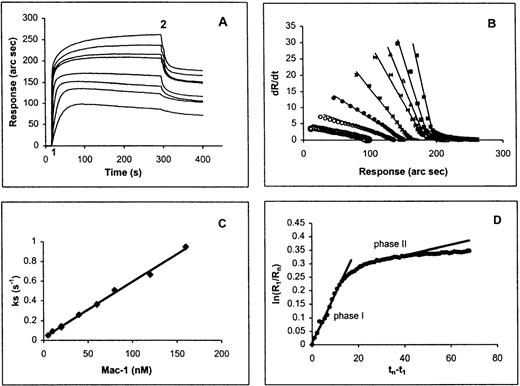Fig. 6. A real-time observation of HK-Mac-1 interaction. / (A) Overlay sensor-gram from the IAsys showing the binding of Mac-1 to immobilized HKa. At “1” purified human Mac-1 was added to the cuvette at the following concentrations: 5, 10, 20, 40, 60, 80, 120, and 160 nmol/L. At “2” the cuvette was washed with buffer (10 mmol/L HEPES, 137 mmol/L NaCl, 4 mmol/L KCl, 50 μmol/L ZnCl2, and 0.05% Tween-20). (B) dR/dt plots of association data according to equation 3. Straight lines were fitted to the initial linear portion of the association phase data to obtain ks. (C) Plot of ks versus Mac-1 concentration. The slope of the line gives the association rate constant. (D) Dissociation phase data from 160 nmol/L Mac-1 sensor-gram plotted according to equation 5. A straight line was fitted to the first 20 seconds of the plot for phase 1, and the other straight line was fitted to the data between 20 and 70 seconds for phase 2.