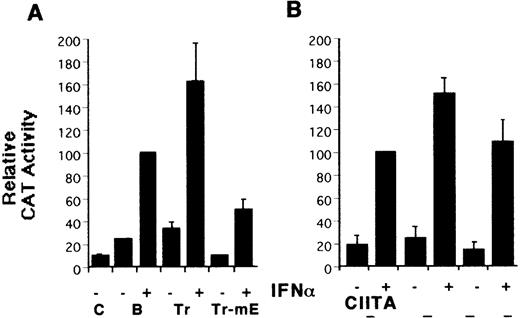 Fig. 2. Identification of HLA-B upstream elements required for induction by IFN- and by CIITA. / (A) YHHH cells were transfected with CAT reporter vectors and cultured with (+) or without (−) IFN-α as described in “Materials and methods.” Transfections were performed in parallel and the CAT activity of the HLA-B vector in the presence of IFN-α was defined as 100 U. For this and subsequent figures, error bars represent SD on the mean from at least 3 independent transfections. “C” is the promoterless CAT vector control and “B” is the HLA-B reporter, with 500 bp of sequence upstream of the start codon of HLA-B57.28 Truncated (Tr) versions with 200 bp of HLA-B upstream sequence include the conserved Rel site in ENH-A, which was left intact, or mutated (Tr-mE). (B) Cotransfections with the HLA-B reporters were performed with 1 μg of a control (−) or CIITA (+) vector, and induced activity of the wild-type reporter was defined as 100 U. (C) The IFN-α inducibility of the full length HLA-BCAT vector, “B,” was compared with versions that had been mutated in the IRE, X1, R1, α, or IC elements (Figure 1B). (D) The HLA-B mutant reporter series was tested with the CIITA vector as described in panel B. (E) HeLa cells were transfected with the HLA-B reporter series −/+ CIITA as described for YHHH cells.