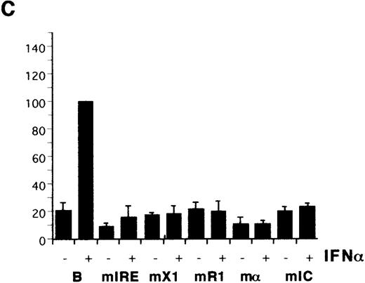 Fig. 2. Identification of HLA-B upstream elements required for induction by IFN- and by CIITA. / (A) YHHH cells were transfected with CAT reporter vectors and cultured with (+) or without (−) IFN-α as described in “Materials and methods.” Transfections were performed in parallel and the CAT activity of the HLA-B vector in the presence of IFN-α was defined as 100 U. For this and subsequent figures, error bars represent SD on the mean from at least 3 independent transfections. “C” is the promoterless CAT vector control and “B” is the HLA-B reporter, with 500 bp of sequence upstream of the start codon of HLA-B57.28 Truncated (Tr) versions with 200 bp of HLA-B upstream sequence include the conserved Rel site in ENH-A, which was left intact, or mutated (Tr-mE). (B) Cotransfections with the HLA-B reporters were performed with 1 μg of a control (−) or CIITA (+) vector, and induced activity of the wild-type reporter was defined as 100 U. (C) The IFN-α inducibility of the full length HLA-BCAT vector, “B,” was compared with versions that had been mutated in the IRE, X1, R1, α, or IC elements (Figure 1B). (D) The HLA-B mutant reporter series was tested with the CIITA vector as described in panel B. (E) HeLa cells were transfected with the HLA-B reporter series −/+ CIITA as described for YHHH cells.