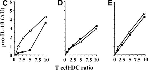 Fig. 2. Activated T cells induce synthesis of pro–IL-1β without secretion. / (A, B) DCs untreated (−, lane 1) or loaded with tetox for 16 hours (lanes 2 to 5) were incubated 8 hours alone (lanes 1 and 2) or in the presence of autologous antitetox T lymphocytes (+Ttetox, lane 3) or autologous antidermatophagoides T lymphocytes (+Tdph, lane 4) or with autologous resting T cells (+Tresting, lane 5) at a T-cell:DC ratio of 10:1. At the end of the incubation, cell lysates (A) and supernatants (B) were analyzed for their content in IL-1β by Western blotting. (C-E) Autologous specific (antitetox; ○) or aspecific (anti-dph; ▪) T lymphocytes were coincubated with tetox-loaded DCs for 8 hours at T-cell:DC ratios varying from 0.5:1 to 10:1. DC intracellular pro–IL-1β was analyzed by Western blotting and quantitated by densitometry.