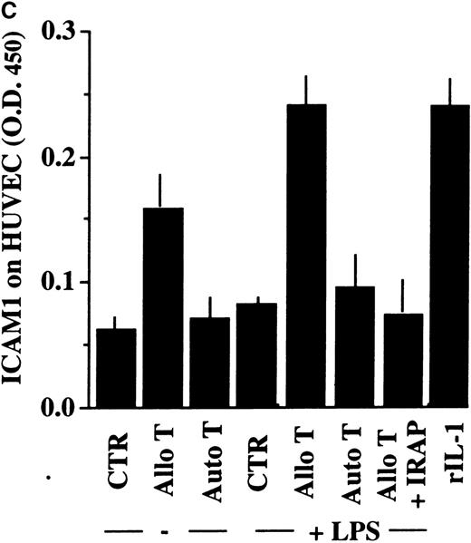 Fig. 3. Challenge of DCs with alloreactive, but not with nonspecific T lymphocytes, results in secretion of processed, bioactive IL-1β. / (A, B) DCs, untreated (lanes 1 to 3) or treated with LPS for the last 40 hours (lanes 4 to 6) were challenged with activated allospecific T lymphocytes (allo T, lanes 2 and 5) or autologous activated T lymphocytes (auto T, lanes 3 and 6) at a T-cell:DC ratio of 10:1. Cell lysates (panel A) and supernatants (sups, panel B) were analyzed as for their content in pro–IL-1β or IL-1β by Western blot. (C) Bioactivity of secreted IL-1β: 100 μL aliquots of supernatants from the different culture conditions was added to HUVEC and incubated at 37°C for 20 hours. At the end of the incubation, the ICAM1 molecules expressed by HUVEC were quantified by ELISA.