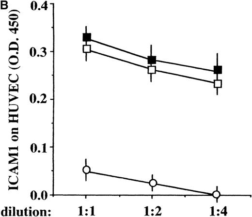 Fig. 5. ICE inhibition prevents the generation of ICE-specific bands but not the release of IL-1β bioactivity. / (A) Cell lysates (cl, lanes 1 and 2) or supernatants (sups, lanes 3 and 4) from DCs challenged for 8 hours with allogenic T cells at a T-cell:DC ratio of 10:1, in the absence (−, lanes 1 and 3) or presence (+, lanes 2 and 4) of 100 μmol/L AcYVAD-CMK, were analyzed as for their content in pro–IL-1β or IL-1β by Western blot. (B) Bioactivity of secreted IL-1β: aliquots of different dilutions (as indicated) of supernatants of DCs cultured 8 hours alone (○) with alloreactive T cells in the absence (▪) or presence (□) of 100 μmol/L AcYVAD-CMK were added to HUVEC and incubated at 37°C for 20 hours. At the end of the incubation, the ICAM1 molecules expressed by HUVEC were quantified by ELISA.
