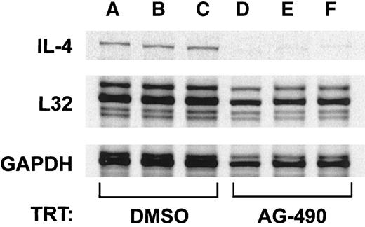 Fig. 2. AG-490 inhibits IL-4 messenger RNA (mRNA) expression. / Results of RNase protection assay analysis of IL-4 mRNA isolated from AG-490 (100 μmol/L)–treated or DMSO-treated D10 cells are shown. The mRNA was isolated and examined for expression of murine IL-4 orL32 and GAPDH control genes by using a phosphorus 33 (33P)–labeled probe. Densitometric analysis of IL-4 RNA message compared with L32/GAPDH indicated a greater than 79% reduction in the AG-490–treated samples (n = 3).