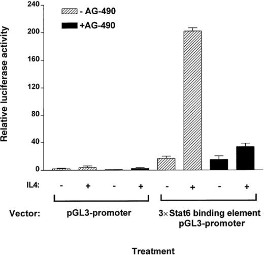 Fig. 8. AG-490 ablates IL-4–induced transcriptional activity of STAT6 binding element of a luciferase reporter construct. / D10 cells were stably transfected with a 3 copies of a STAT6 binding element–pGL3 promoter–luciferase construct or with pGL3 promoter–luciferase construct alone. Cells were then treated in the absence or presence of AG-490 for 16 hours and incubated with or without IL-4 (100 nmol/L) for 10 hours. Luciferase activity of lysed cells was measured and normalized against protein concentration.