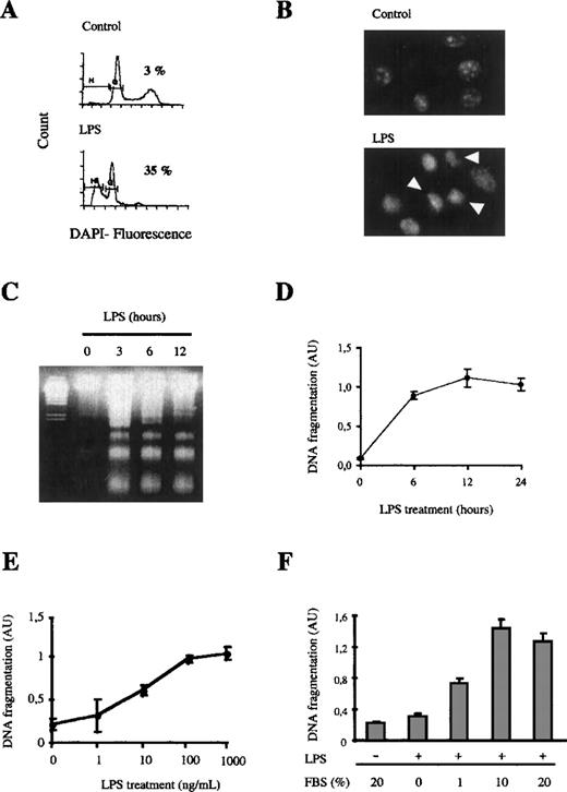 Fig. 1. LPS induces apoptosis in bone marrow macrophages. / (A and B) 106 macrophages were stimulated with 100 ng/mL of LPS for 6 hours. DNA was stained with DAPI, and induction of apoptosis was analyzed by cytometric analysis (A) or visualizing the cells in a fluorescence microscope (B). Apoptotic cells are marked with arrows. (C and D) LPS induces apoptosis in a time-dependent manner. Apoptotic DNA from macrophages treated with LPS (100 ng/mL) for the indicated times was analyzed by agarose gel electrophoresis (C) or by using an ELISA technique (D). (E) LPS induces apoptosis in a dose-dependent fashion; 105 macrophages were treated for 12 hours with the indicated concentrations of LPS. Apoptotic DNA was measured as in (D). (F) Apoptosis induced by LPS depends on the presence of FBS. The cells were treated with 100 ng/mL LPS for 12 hours in the presence of the indicated concentrations of FBS. Fragmentation of DNA was measured by ELISA. The ELISA experiments were performed in triplicate and represented as the mean value ± SD. These figures are representative of 4 independent experiments.