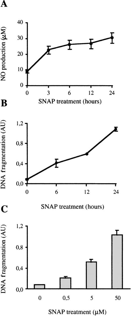 Fig. 2. Exogenous NO induces apoptosis in bone marrow macrophages. / (A) NO production by SNAP; 105 macrophages were treated with 50 μmol/L of SNAP for the indicated times and the production of NO was determined. (B) Time course of SNAP-induced apoptosis; 105 macrophages were treated with 50 μmol/L SNAP at the indicated times. Apoptosis was measured by ELISA. (C) The cells were treated for 24 hours with the indicated concentrations of SNAP, and apoptosis was detected as indicated above. Each experiment was performed in triplicate and the results of 1 representative of 2 independent experiments are represented as the mean value ± SD.