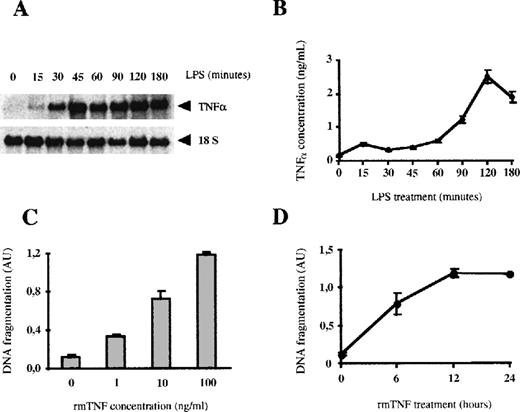 Fig. 5. LPS induces the autocrine secretion of TNF-, which produces apoptosis. / (A) LPS induces the mRNA expression of TNF-α. Total RNA (20 μg per lane) from macrophages was treated with 100 ng/mL of LPS for the indicated times was analyzed by Northern blotting. (B) LPS induces the secretion of TNF-α. The concentration of TNF-α in the culture supernatants was analyzed by ELISA. Each experiment was performed 3 times and represented as the mean value ± SD. (C) TNF-α induces apoptosis in bone marrow macrophages. Macrophages were stimulated for 12 hours with the indicated concentrations of rmTNF-α. Induction of apoptosis was measured by ELISA. (D) Time course of rmTNF-α–induced apoptosis. Macrophages were treated with rmTNF-α (100 ng/mL) for the indicated periods of time. Each experiment was performed in triplicate and represented as the mean ± SD, and 1 of 3 independent experiments is shown in this figure.