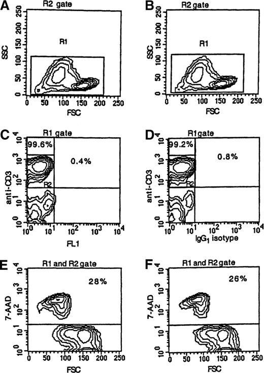 Fig. 2. Apoptosis among CD3+ T cells. / PBMCs were obtained from a patient 21 days following transplantation, cultured for 24 hours, and stained with PE-labeled anti-CD3 mAb (panels A, C, and E) or with PE-labeled anti-CD3 mAb and FITC-labeled IgG1 isotype control antibody (panels B, D, and F) followed by 7AAD. Less than 1% of the T cells were stained with FITC-labeled IgG1 isotype control antibody. T-cell apoptosis was measured by using FSC and the intensity of 7AAD fluorescence (panel E or F) of cells noted in the R1 gate (panel A or B) and R2 gate (panel C or D).