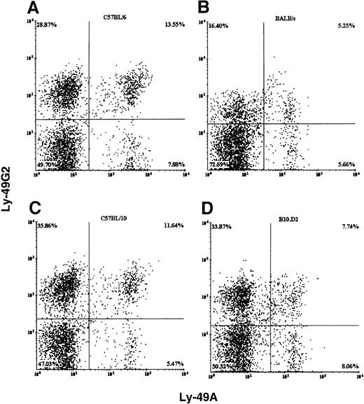 Fig. 1. Flow cytometric analysis of fresh splenic NK cells from different strains of mice. / C57BL/6 (H2b, A), BALB/c (H2d, B), C57BL/10 (H2b, C), and B10.D2 (H2d, D). NK cells were stained with pan NK marker DX5, anti-Ly-49A mAb YE1-48, and anti-Ly-49G2 mAb 4D11. The Y-axis and X-axis represent fluorescence intensity of phycoerythrin (PE)-conjugated 4D11 and fluorescein isothiocyanate (FITC)-conjugated YE1-48 antibodies, respectively.