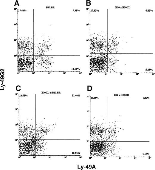 Fig. 2. Flow cytometric analysis of fresh splenic NK cells from different strains of mice. / B10.BR (H2k, A), B10 × B10.D2 (H2bxd,B), B10.D2 × B10.BR (H2dxk, C), and B10 × B10.BR (H2bxk, D). NK cells were stained with pan NK marker DX5, anti-Ly-49A mAb YE1-48, and anti-Ly-49G2 mAb 4D11. The Y-axis and X-axis represent fluorescence intensity of PE-conjugated 4D11 and FITC-conjugated YE1-48 antibodies, respectively.