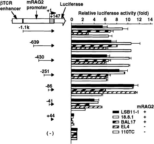 Fig. 2. Promoter activity of the 5′ flanking region of the mouse RAG-2 in lymphoid cells. / Schematic diagram of luciferase reporter constructs fused to RAG-2 promoter sequences is shown on the left, and the promoter activity in various lymphoid cells is on the right. For the luciferase reporter constructs and the pSRα-LacZ reference plasmids, 5 μg of each were transfected into 5 × 106 mouse lymphoid cell lines (see “Materials and methods”), and their activities were assessed 22-24 hours later. Luciferase activity was normalized with β-galactosidase activity, and luciferase construct without a promoter fragment was given a reference value of 1. Error bars indicate deviation of 3-4 experiments.