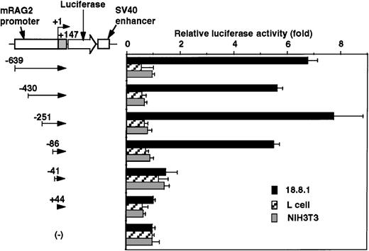 Fig. 3. Promoter activity of the 5′ flanking region of mouse RAG-2 in nonlymphoid cells. / Schematic diagram of luciferase reporter constructs fused to RAG-2 promoter sequences is shown on the left, and promoter activity in lymphoid 18.8.1 or nonlymphoid cells (L and NIH3T3) is on the right. Promoter activities were analyzed as in Figure 2. Error bars indicate deviation of 3 experiments.
