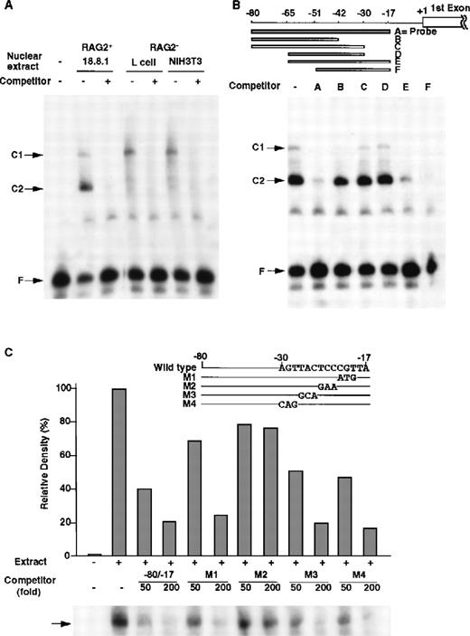 Fig. 4. DNA binding proteins that bind to the −80/−17 nt region of the RAG-2 promoter in B-lineage cells. / (A) Nuclear proteins binding to RAG-2 promoter. EMSA was performed as described in “Materials and methods” by incubating nuclear extracts prepared from 18.8.1 cells, L cells, or NIH3T3 cells and the32P-labeled probe DNA (the −80/−17 nt region of the RAG-2 promoter in Figure 1B) in the absence or presence of 100-fold the excess amount of cold probe DNA. C1 and C2 indicate complexes of nuclear protein and probe DNA, and F indicates free probe DNA. (B) Analysis of the R2BP binding region. EMSA was performed using nuclear extracts prepared from 18.8.1 cells and the32P-labeled probe DNA as mentioned above in the presence of various competitor DNA (A-F), as depicted on the top. (C) Mutation analysis of the binding region of R2BP. The RAG-2 promoter fragment (−80/−17 nt region) containing altered nucleotides was prepared (M1-M4, shown on the top). EMSA was performed as in panel B in the presence of 50-fold and 200-fold molar excess of the wild type −80/−17 fragment and the M1, M2, M3, or M4 fragment. Histograms indicate the relative density of the C2 complex shown on the bottom. The density of the C2 complex, in the absence of a competitor, is denoted as 100%.