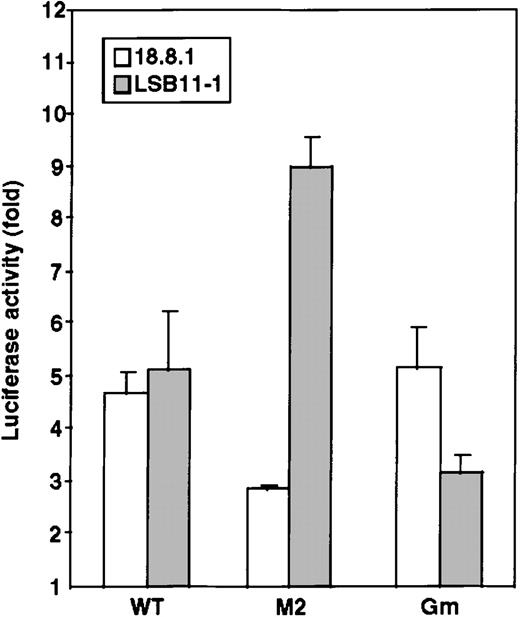 Fig. 7. Possible involvement of Pax-5 and GATA-3 in mouse RAG-2 promoter activity. / Luciferase constructs were transfected together with pSRα-LacZ reference plasmids into 5 × 106 B-lineage cells (18.8.1) or T-lineage cells (LSB11-1) and analyzed for activity as shown in Figure 2. Four luciferase constructs were used: without a promoter, with the wild type −86/+147 RAG-2 promoter (WT), or with the promoter containing a nucleotide alteration in either the Pax-5 binding site (M2) (Figure 4C) or GATA binding site (Gm) (Figure6A). Representative data of 3 independent experiments are shown.