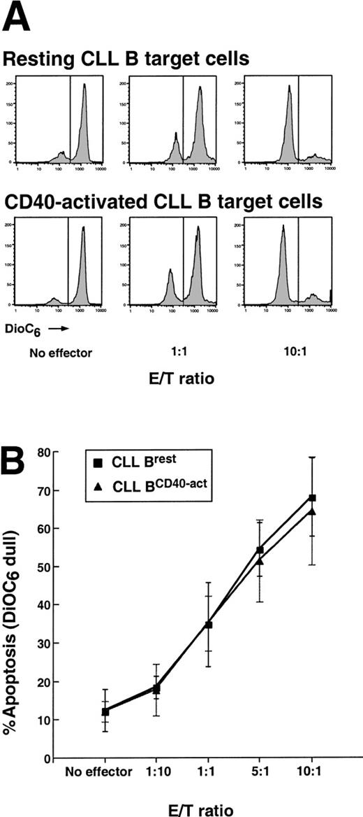Fig. 2. Allogeneic CTL-mediated apoptosis of resting and CD40-activated CLL B cells. / (A) Fluorescence of PKH26/DiOC6–labeled target cells incubated with allogeneic effector T cells. CTL effectors were generated from normal human T cells and harvested for the CTL assay. Allogeneic CLL B target cells were mock or were CD40-stimulated for 48 hours, labeled with PKH26 to distinguish targets from effectors, and incubated with effectors at various E/T ratios for 4 hours. Cells were then stained with DiOC6 for 15 minutes prior to analysis by flow cytometry. DiOC6dull or apoptotic cells are represented by the area under each curve on the left side of each histogram. Data are from 1 experiment of 5 CTL assays. (B) The summary of CTL data from 5 separate experiments (mean plus or minus SD).
