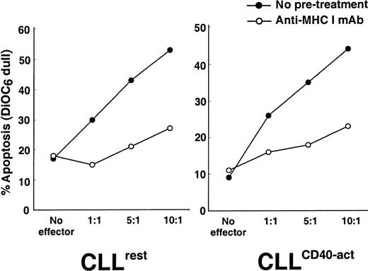 Fig. 3. Effect of blocking antibodies to MHC class I on CTL-mediated apoptosis of CLL B cells. / CLL target cells were preincubated with 10 μg/mL anti–MHC class I mAb W6/32 for 1 hour prior to initiation of the CTL assay. CTL-mediated apoptosis of resting (left) and CD40-activated (right) CLL B target cells with no pretreatment (darkened circles) or preincubated with W6/32 mAb (open circles) at an E/T ratio of 10:1. Data are representative of 1 out of 4 experiments performed with similar results.