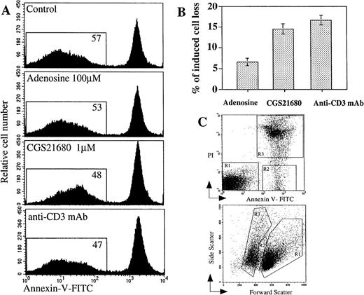 Fig. 3. Comparison of extracellular adenosine, CGS21680 and anti-CD3 mAb-induced apoptosis and cell death in mouse thymocytes. / Ex vivo thymocytes were incubated 16 hours at 37°C in 5% CO2 incubator in the presence of adenosine or adenosine analog CGS21680 or anti-CD3 mAb, and the extent of apoptosis or cell death was measured by flow cytometry as described in “Materials and methods.” (A) Detection of apoptotic events in thymocytes using Annexin V assay; (B) comparable proportion of thymocytes is lost after extAdo-induced and TCR/CD3-induced apoptosis. Cell loss was estimated by flow cytometry by PI staining of dead cells. (C) Demonstration of typical experimental gate selection for evaluation of number and proportion of live (gate R1), apoptotic (gate R2), and dead (gate R3) after 16 hours of incubation of thymocytes in vitro with CGS21680 as panel A. The status of cells was studied by flow cytometry after their staining with propidium iodide (PI) and Annexin V (upper graph) and by their site versus forward scatter (lower graph).