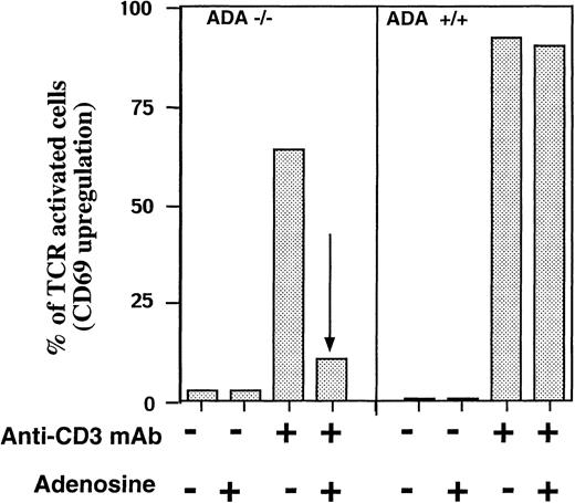 Fig. 8. Adenosine inhibits in vitro TCR-triggered activation of ADA-deficient T cells in the absence of ADA inhibitors. / Ex vivo spleen T cells from ADA −/− and ADA +/+ littermates were incubated in 96-well plates with immobilized anti-CD3 mAb (5 μg/mL mAb) or with serum-free, ADA-free media alone (0 μg/mL mAb) in the presence or absence of adenosine (100 μmol/L), and 16 hours later, the TCR-triggered up-regulation of T-cell activation markers CD69 in T cells was evaluated by flow cytometry.
