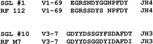 Fig. 4. Comparison of 2 salivary gland lymphoma CDR3 sequences to CDR3 sequences used by V1-69 and V3-7 encoded antibodies with rheumatoid factor activity. / The rheumatoid factor sequences are from Borretzen et al.28The gap in RF112 was made to highlight the sequence similarities.