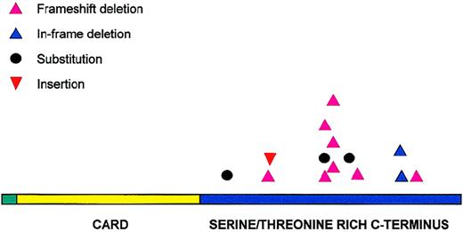 Fig. 3. Distribution of BCL10 mutations. / BCL10 mutations are clustered in the carboxy terminal domain.