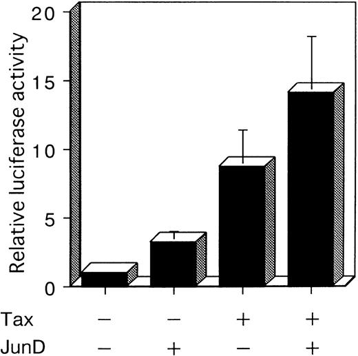 Fig. 6. JunD can potentially act synergistically with Tax. / Jurkat cells were cotransfected with 3 μg of 2× AP-1 site LUC and 5 μg of the indicated expression vectors. The total amount of transfected plasmid was maintained at 13 μg by the addition of expression vector without inserts. Bars represent the mean ± SD of 3 independent experiments.