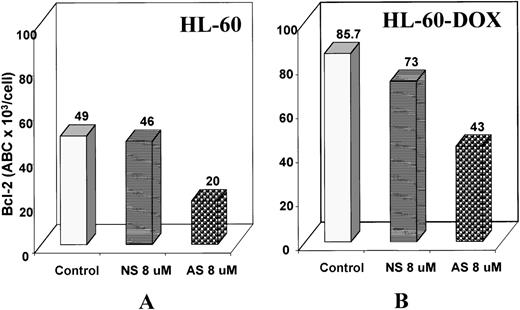 Fig. 4. Effect of Bcl-2-AS on Bcl-2 expression of HL-60 and HL-60-DOX cells. / Bcl-2 protein expression of HL-60 (A) and HL-60-DOX (B) was analyzed by flow cytometry as described above after gating on live cells. The relative channel number was measured from the upper limit of the negative control. The relative channel number of a series of calibrated FITC microbeads having levels of fluorescence intensity ranging from 8.857 × 103 to 206.086 × 103antibody-binding capacity (ABC) of equivalent soluble fluorochrome per bead was calculated (FCSC Quantum; Becton Dickinson) and a standard curve constructed. The relative channel number and the antibody-binding capacity per cell for the test samples were calculated using this standard curve. Results demonstrate lower Bcl-2 expression of cells treated with 8 μmol/L of Bcl-2-AS for 5 days.