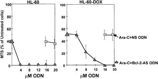 Fig. 5. Bcl-2-AS increased sensitivity to ara-C in both HL-60 and in HL-60-DOX cells. / Combined effect of Bcl-2-AS and ara-C on the growth of leukemic cell lines was tested using the MTS assay after 72 hours of treatment. Note that higher concentrations of Bcl-2-AS were required in HL-DOX cells because they expressed higher levels of Bcl-2.