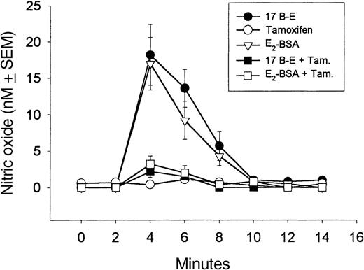 Fig. 3. Estrogen stimulation of NO release by 17β-estradiol and E2-BSA and its antagonism by tamoxifen. / 17β-Estradiol (17 B-E; 10−9 mol/L) stimulates NO release from granulocytes within 2 minutes of its application. The release of NO is stimulated by 17β-estradiol coupled to 10−9 mol/L BSA (E2-BSA) with the same kinetic profile as 17β-estradiol (P < .01), which indicates that estradiol acts at the membrane surface. The NO release stimulated by 17β-estradiol and E2-BSA was antagonized by tamoxifen (Tam), an antiestrogen. We added 17β-estradiol and E2-BSA to the milieu at 2 minutes, whereas 10−9 mol/L tamoxifen was added at 0 minutes. Each experiment was repeated 4 times, and the resulting mean value plus or minus SEM was graphed.
