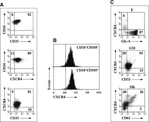 CXCR4 expression. / (A) Expression of CXCR4 and CD33 antigens on freshly purified G-CSF mobilized CD34+ progenitors from a representative experiment. Markers were set according to isotypic controls. The percentage of cell coexpressing both antigens is indicated. (B) CXCR4 expression on freshly purified CD34+CD105+ and CD34+CD105− cell fractions from a representative experiment. Markers were set according to isotypic controls. (C) CXCR4 expression during unilineage E, GM, and Mk differentiation. Markers were set according to isotypic controls. The percentage of cells coexpressing CXCR4 and glycophorin-A, CD33, or CD61 differentiation antigens is indicated.